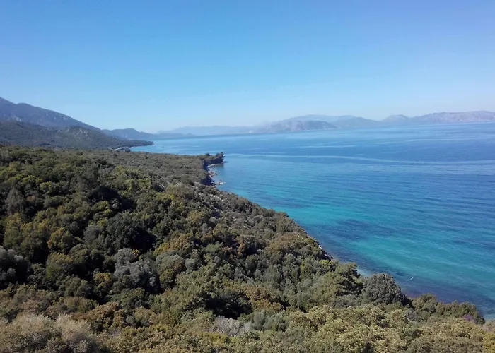 Art グゼルカミル