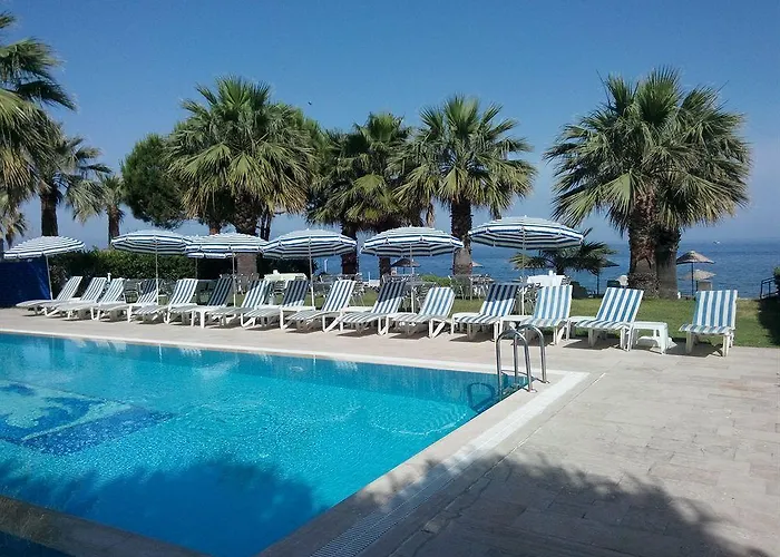 Art グゼルカミル